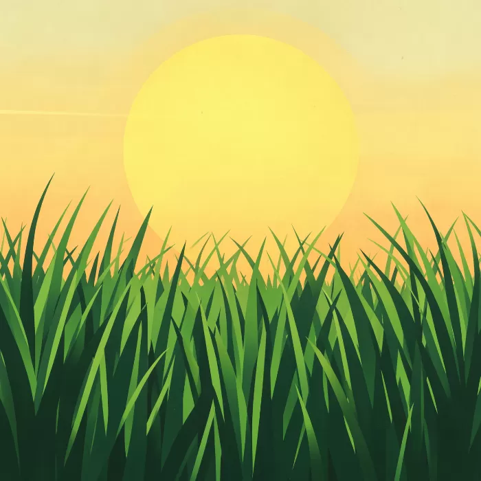 Golden Everglades