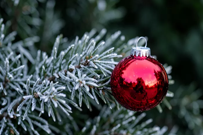 Red Bauble