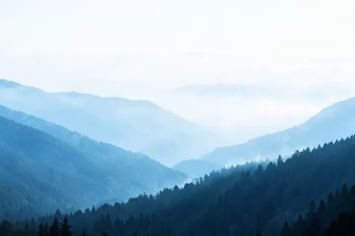 Misty Highlands