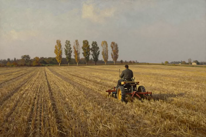 Autumn Furrow