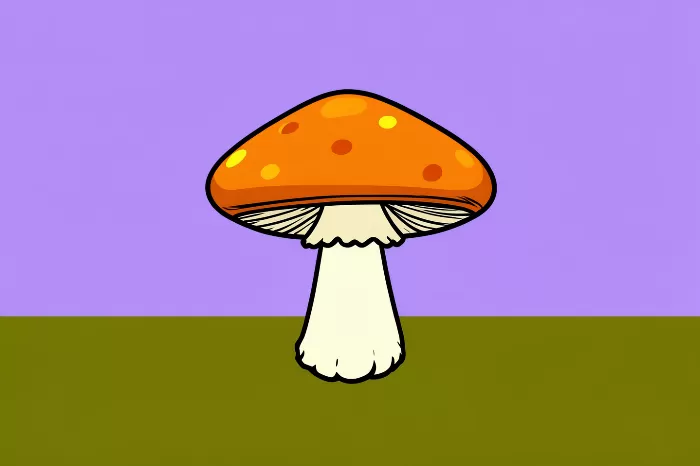 Amber Cap