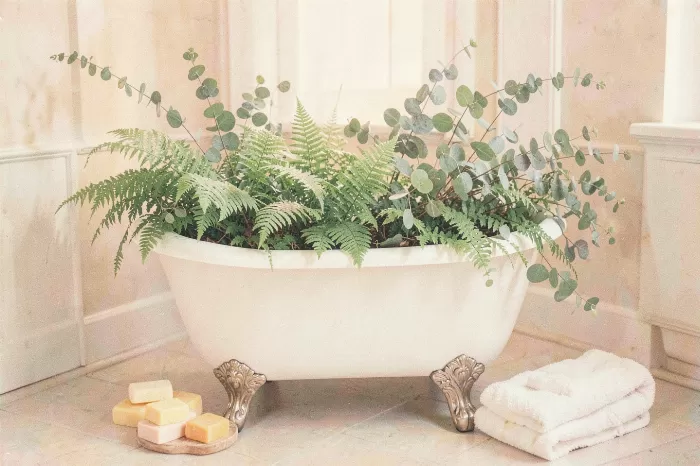 Fern Bath