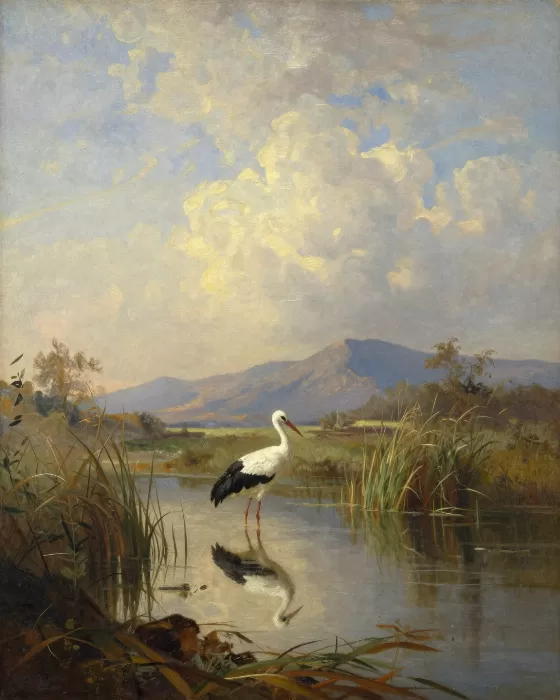 Marsh Reflection