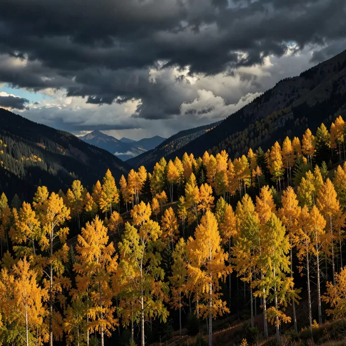 Aspen Stormlight