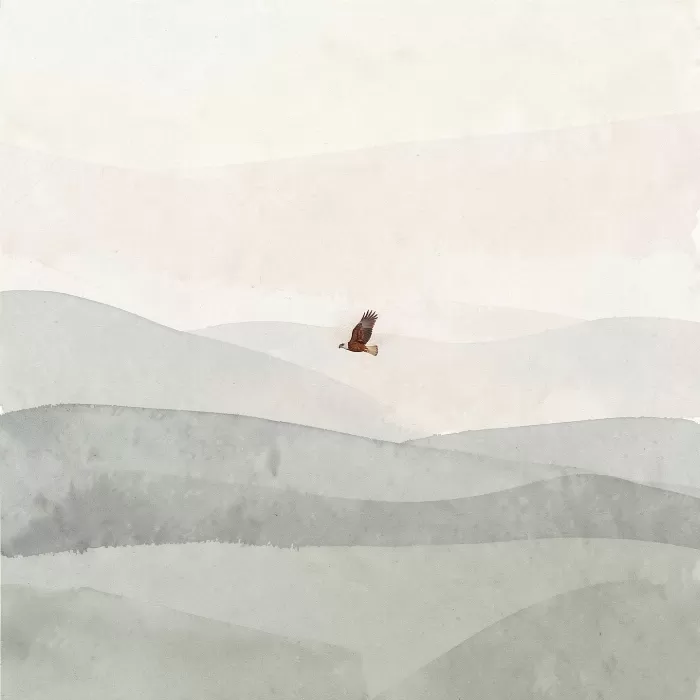 Still Flight