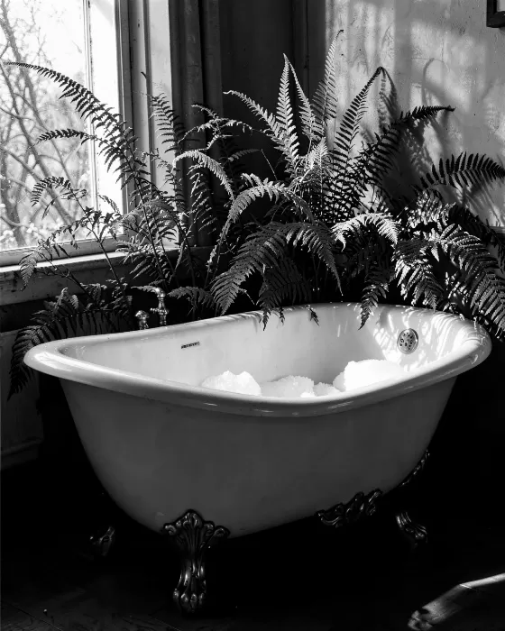 Shadow Bath