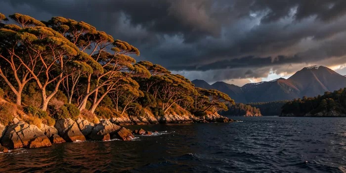 Arbutus Storm