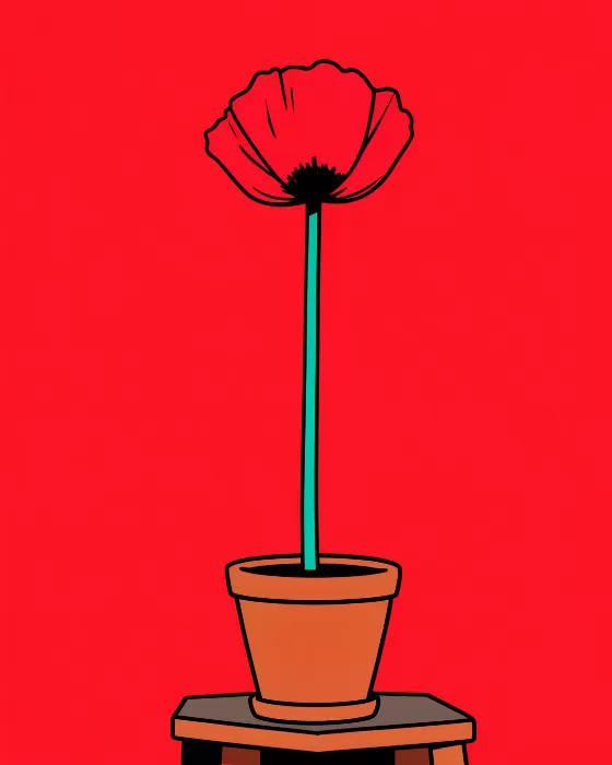 Pop Poppy