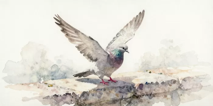 Rising Dove