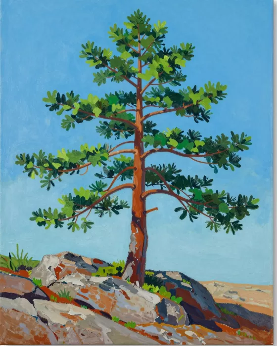 Pine Point