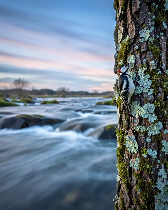 Silken Flow