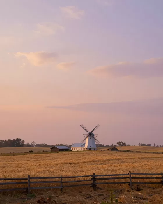 Pastel Farmstead