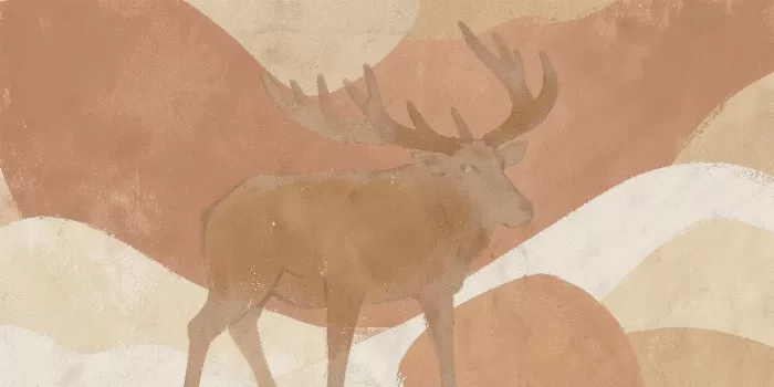 Terra Elk