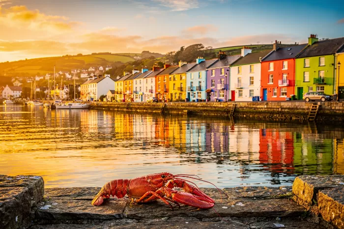 Quay Glow