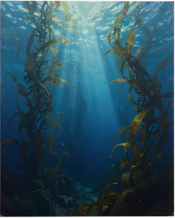 Ocean Majesty