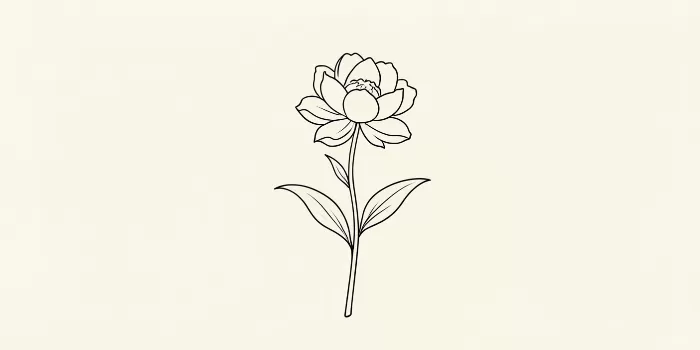 Peony Strokes