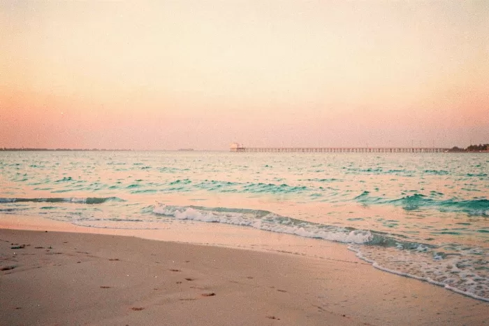 Dawn Myrtle