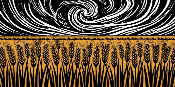 Grain Sky