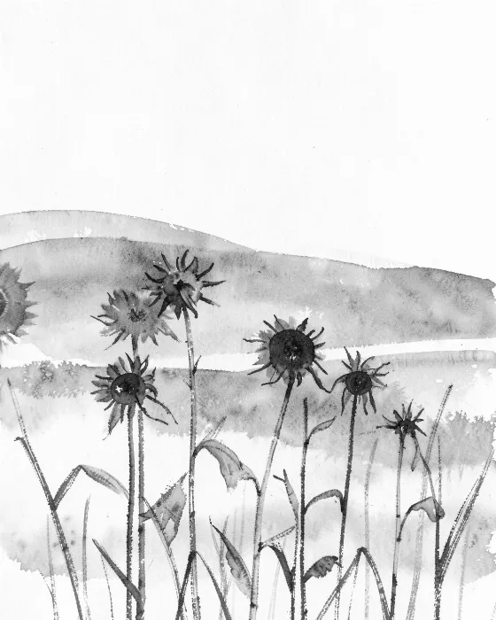 Ink Sunflowers