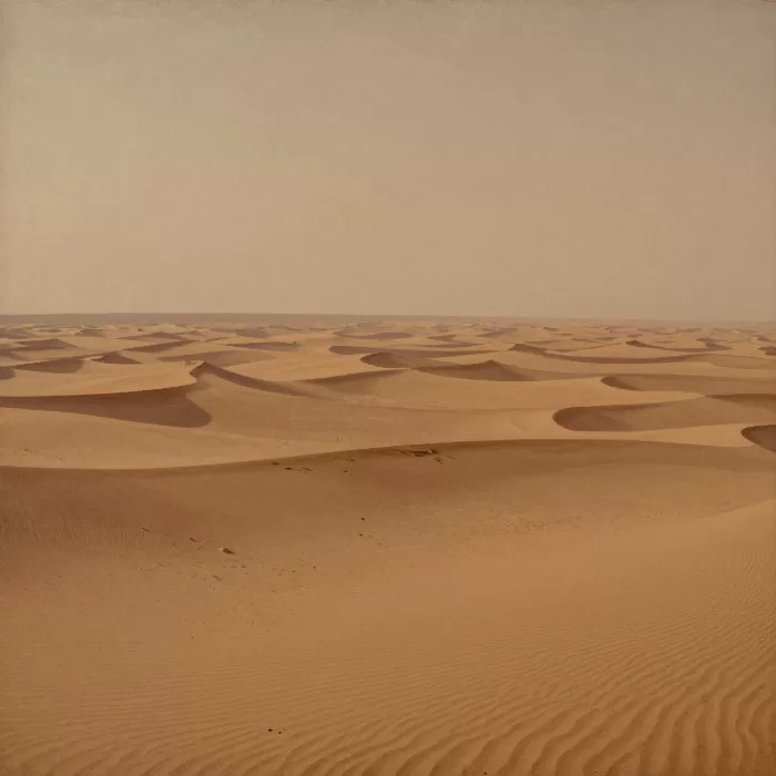 Desert Reverie