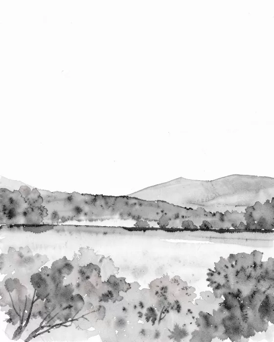 Blue Ridge Vista