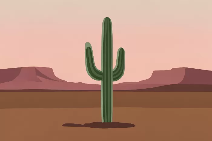 Evening Mesa