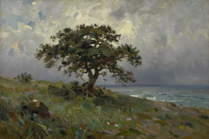Storm Oak