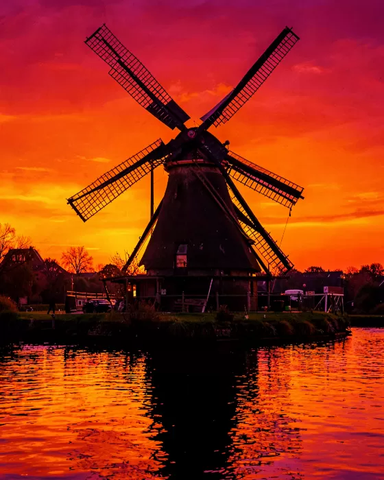 Golden Sails