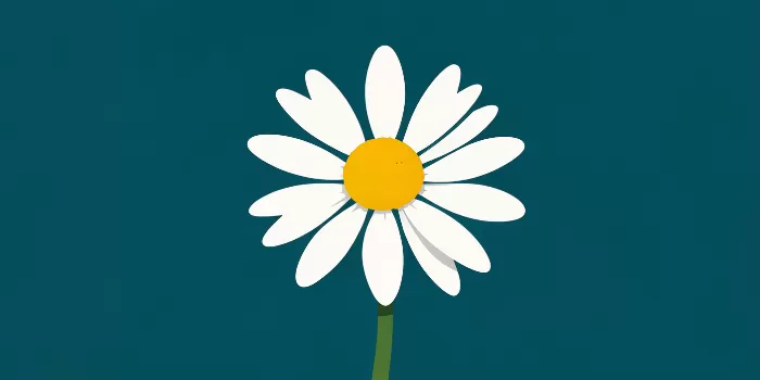 Daisy Teal