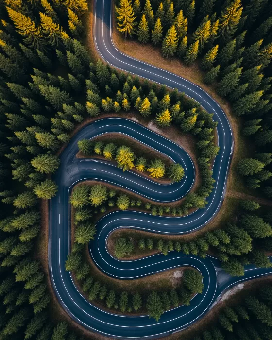 Serpentine II