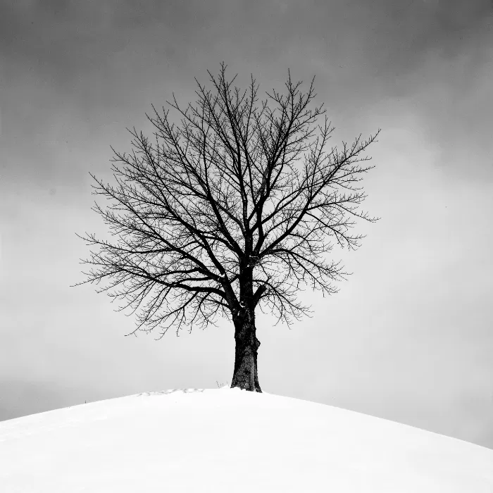 Solo Ridge