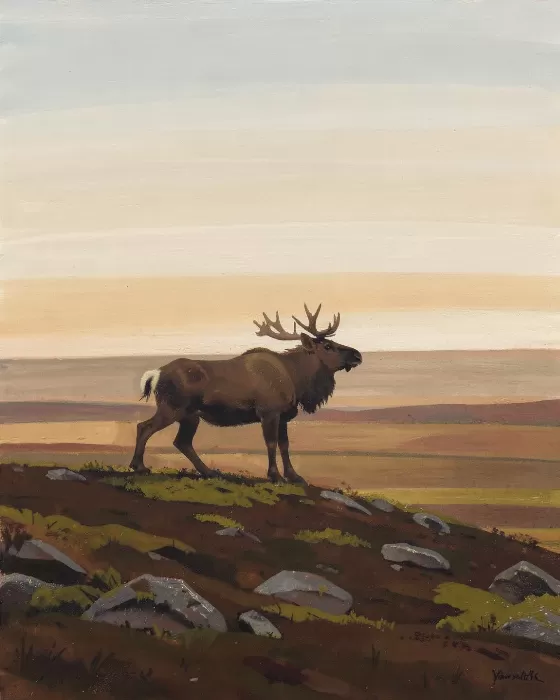 Ridge Caribou