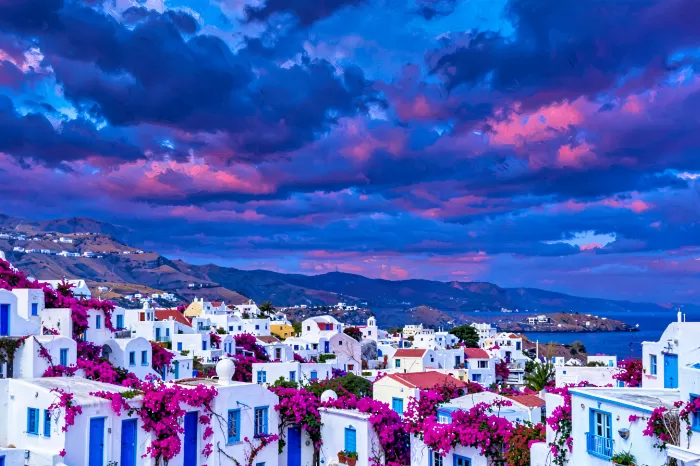 Bougainvillea Homes