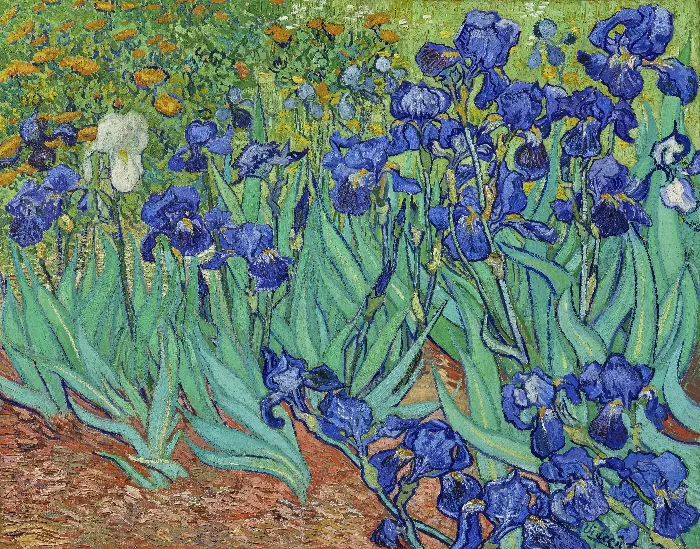 Vincent Van Goghs Irises