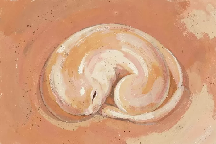 Desert Hare