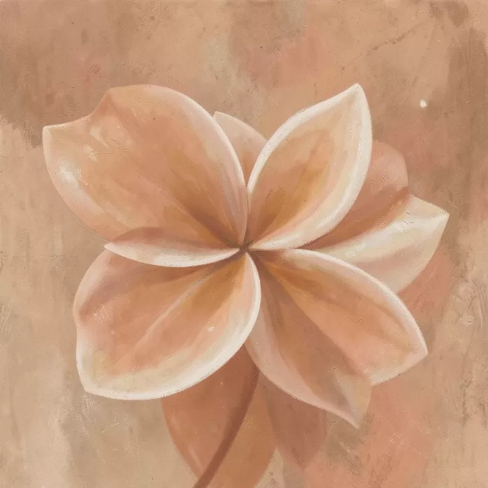 Terracotta Petals