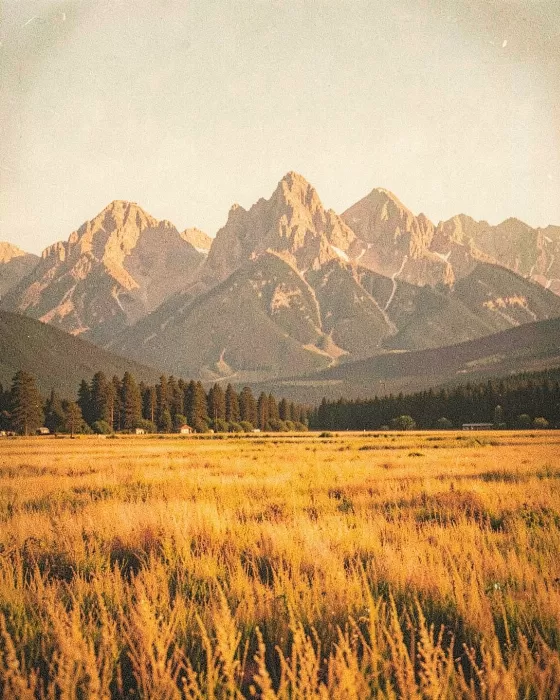 Meadow Peaks