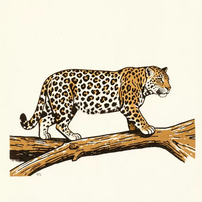 Quiet Leopard
