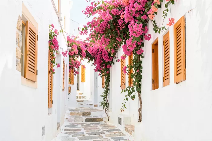 Corfu Lane
