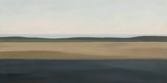 Michigan Horizon