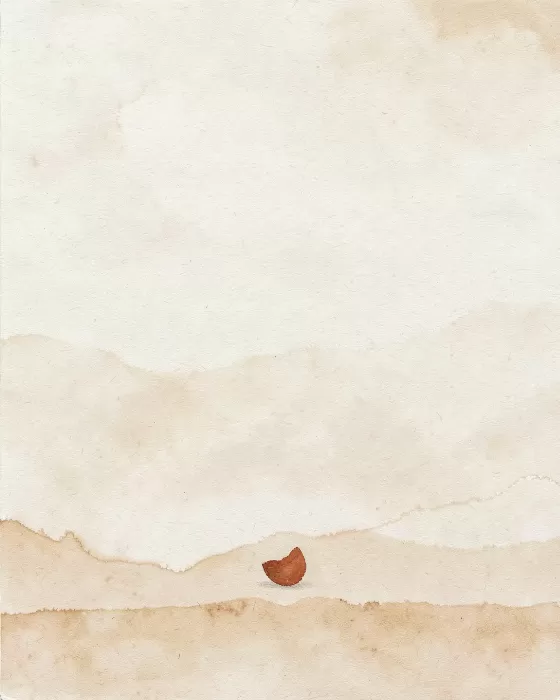 Sand Shell