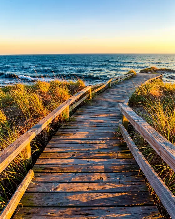 Shingle Path