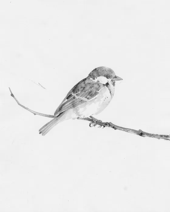Ink Sparrow