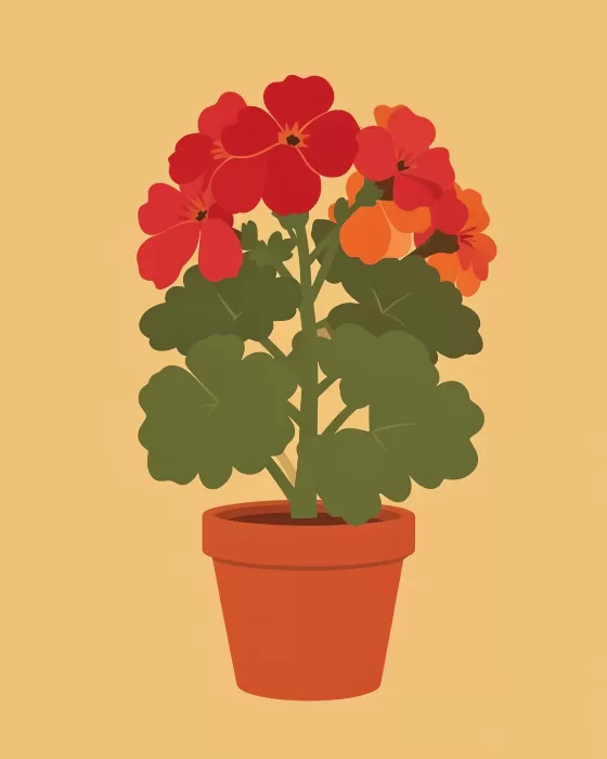Retro Geranium