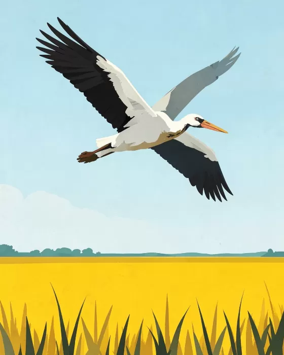 Stork Flight