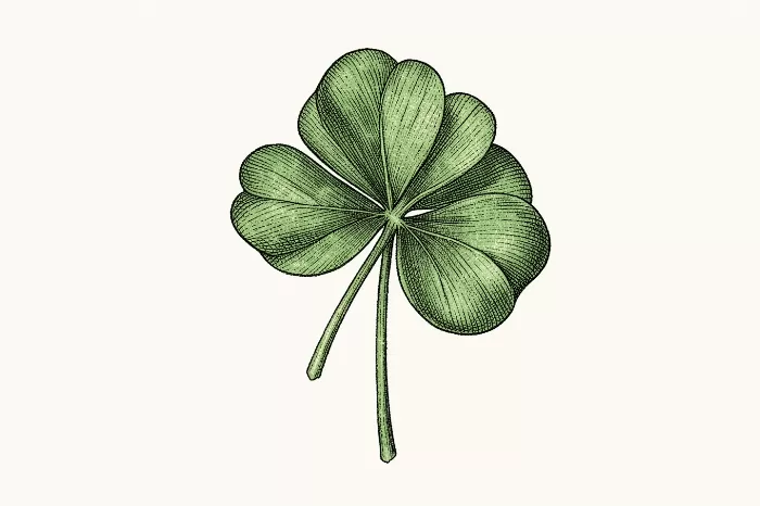 Shamrock Sprig