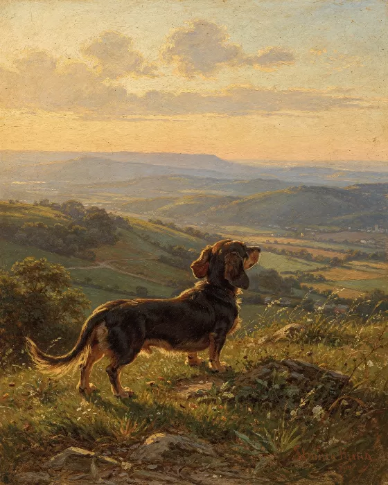 Valley Sentinel