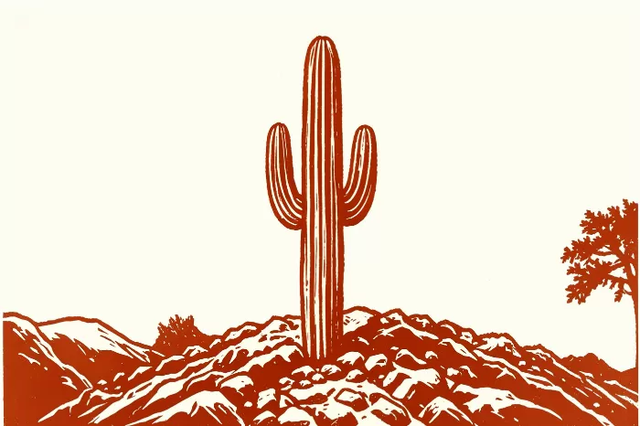 Saguaro Solitude