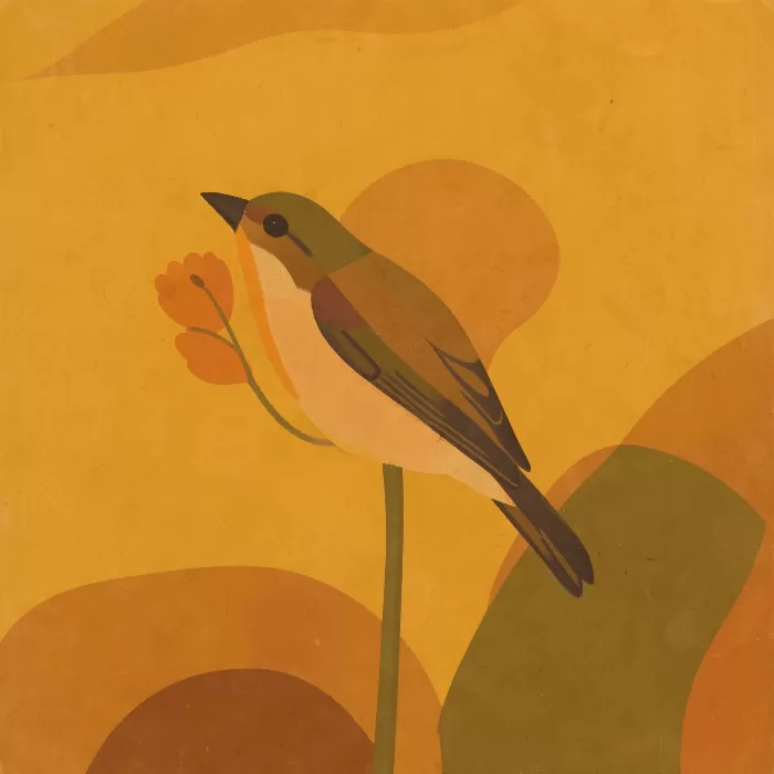 Finch & Seed