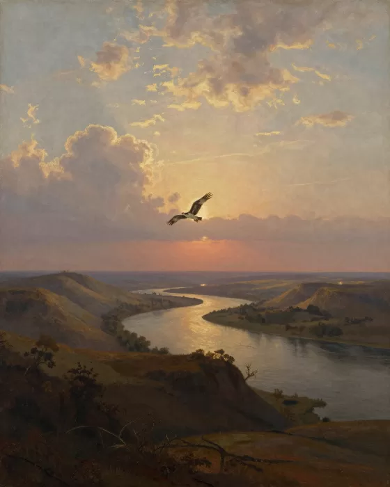 Osprey Rising
